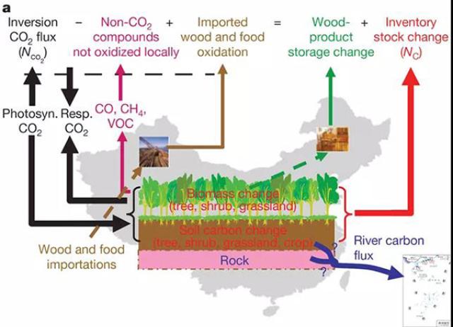 20200911159981265168206026.jpg 4-wenzhong.jpg